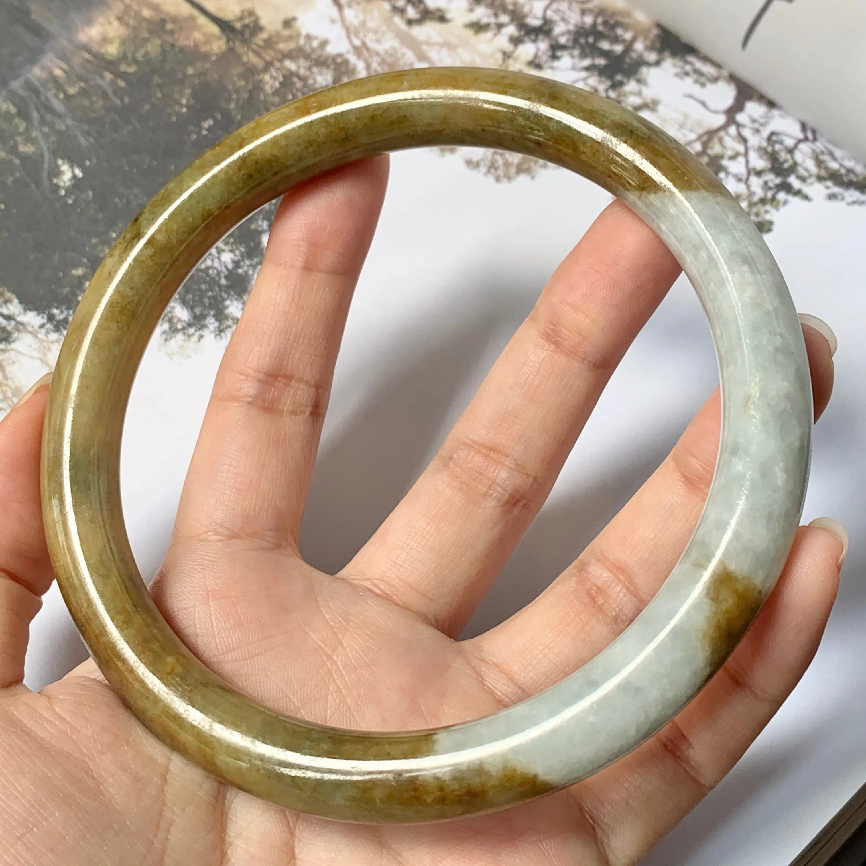 83.8mm A-Grade Natural White Yellow Jadeite Traditional Round Bangle No.151763